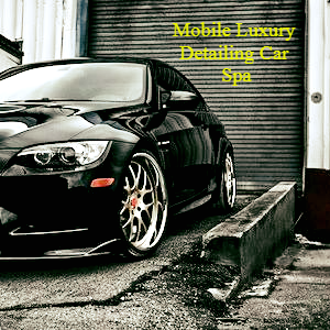 Mobile Luxury Detailing Car Spa Puerto Rico